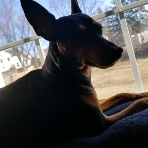 Meet your Posher, Angie